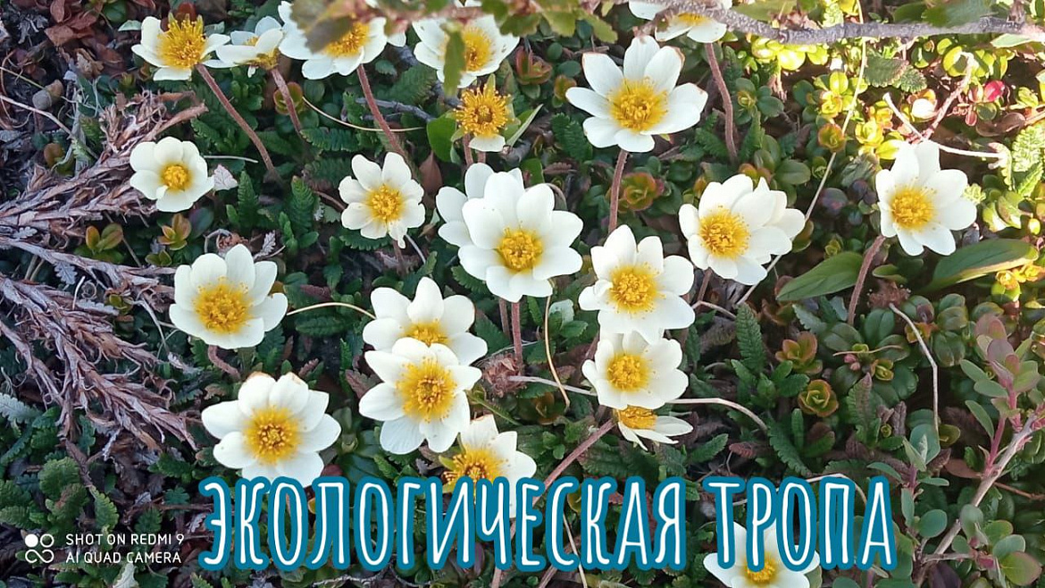 Экологическая тропа