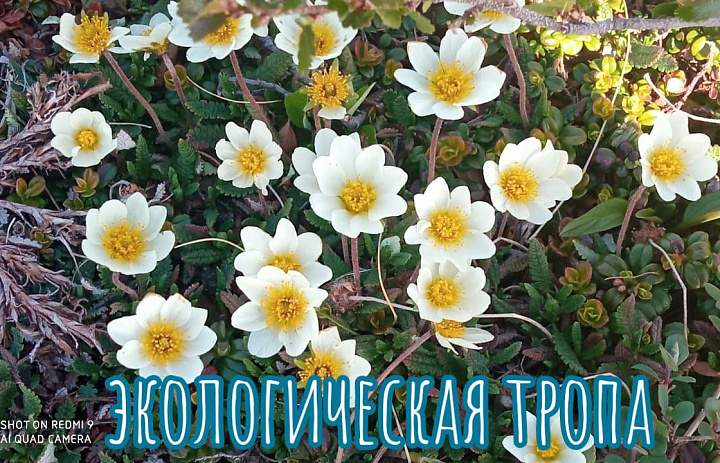 Экологическая тропа