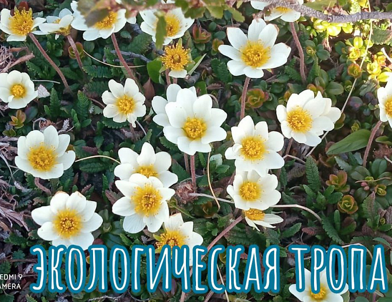 Экологическая тропа