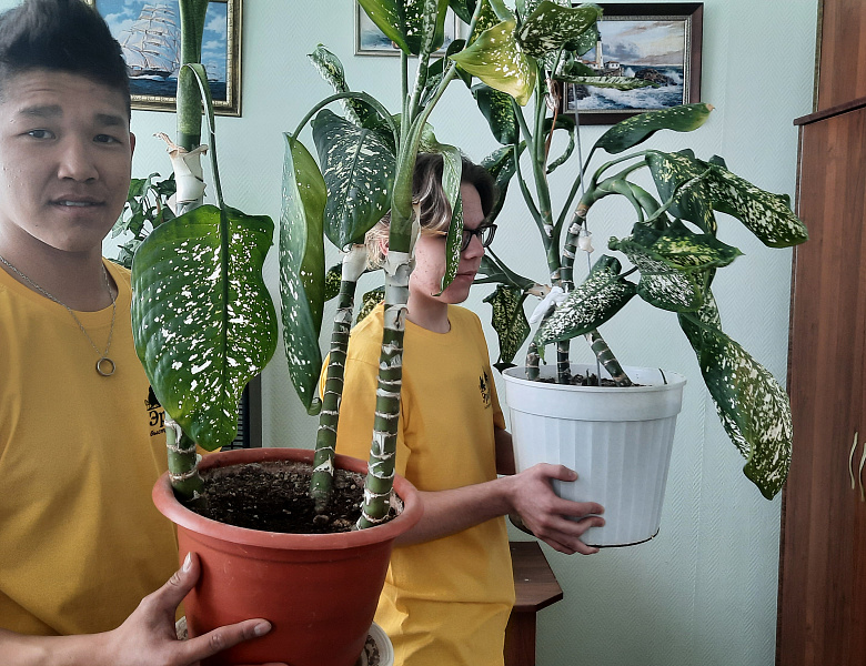 "МОРСКИЕ ЗВЕЗДЫ"