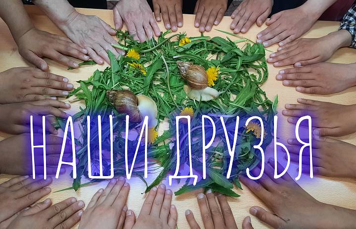 ЛЕТО В ЛАГЕРЕ. УЛИТКА