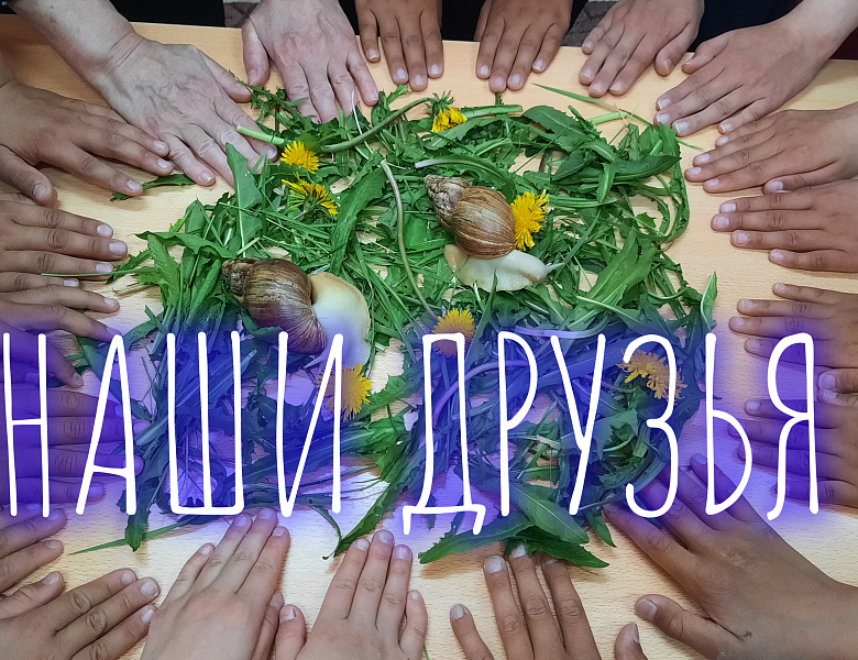 ЛЕТО В ЛАГЕРЕ. УЛИТКА