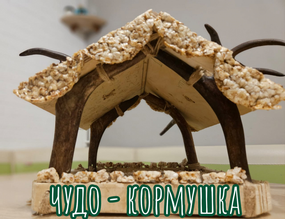 ЭКОЛЯТА - ДРУЗЬЯ ПЕРНАТЫХ -20025