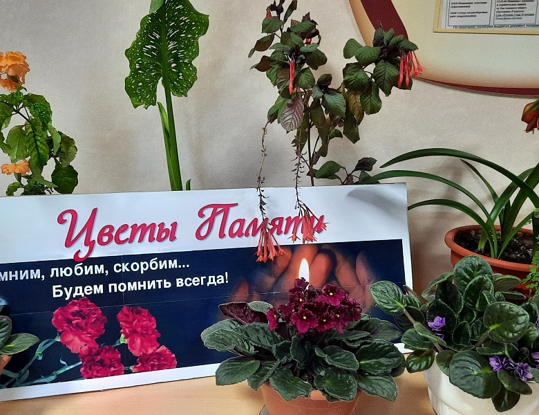 "ЦВЕТЫ ПАМЯТИ"