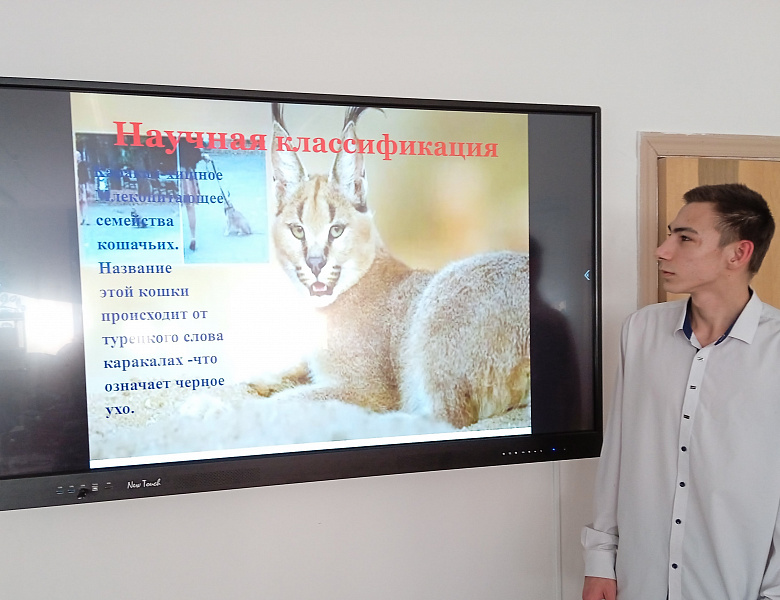 Индивидуальный итоговый проект - 9 класс
