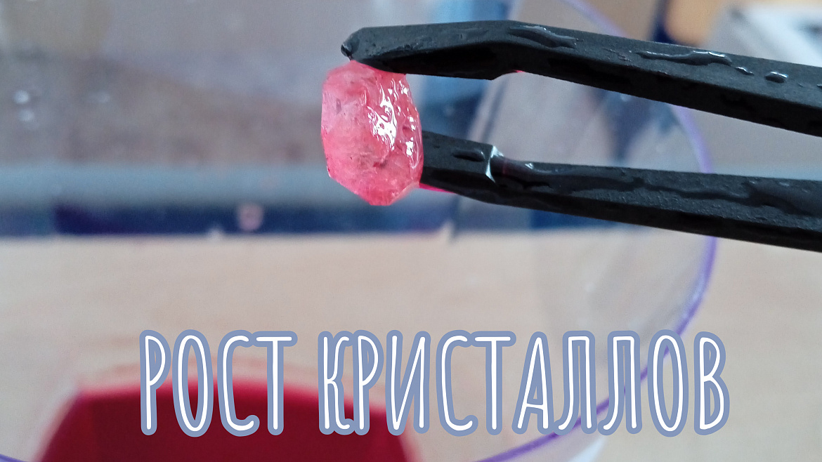 РОСТ КРИСТАЛЛОВ.ПРЕДЗАЩИТА ПРОЕКТОВ