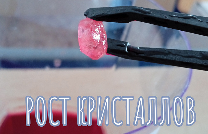 РОСТ КРИСТАЛЛОВ.ПРЕДЗАЩИТА ПРОЕКТОВ
