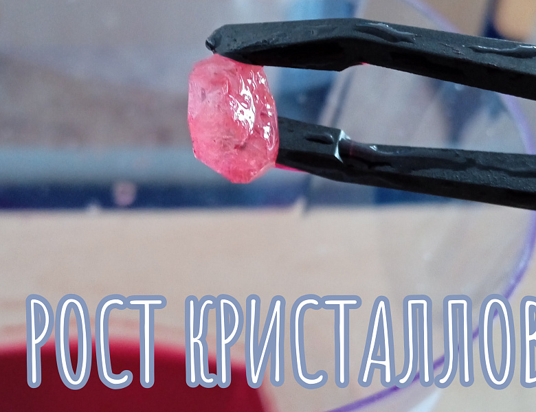 РОСТ КРИСТАЛЛОВ.ПРЕДЗАЩИТА ПРОЕКТОВ