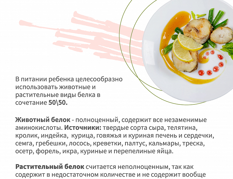 «Правильное питание- важнейший фактор здоровья и долголетия»