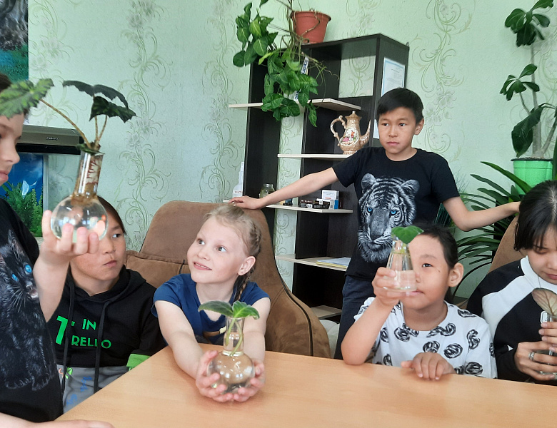 ЦВЕТОК В КАЖДЫЙ ДОМ