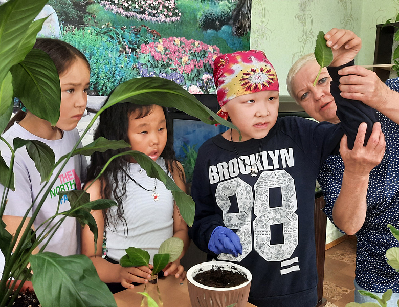 ЦВЕТОК В КАЖДЫЙ ДОМ 2