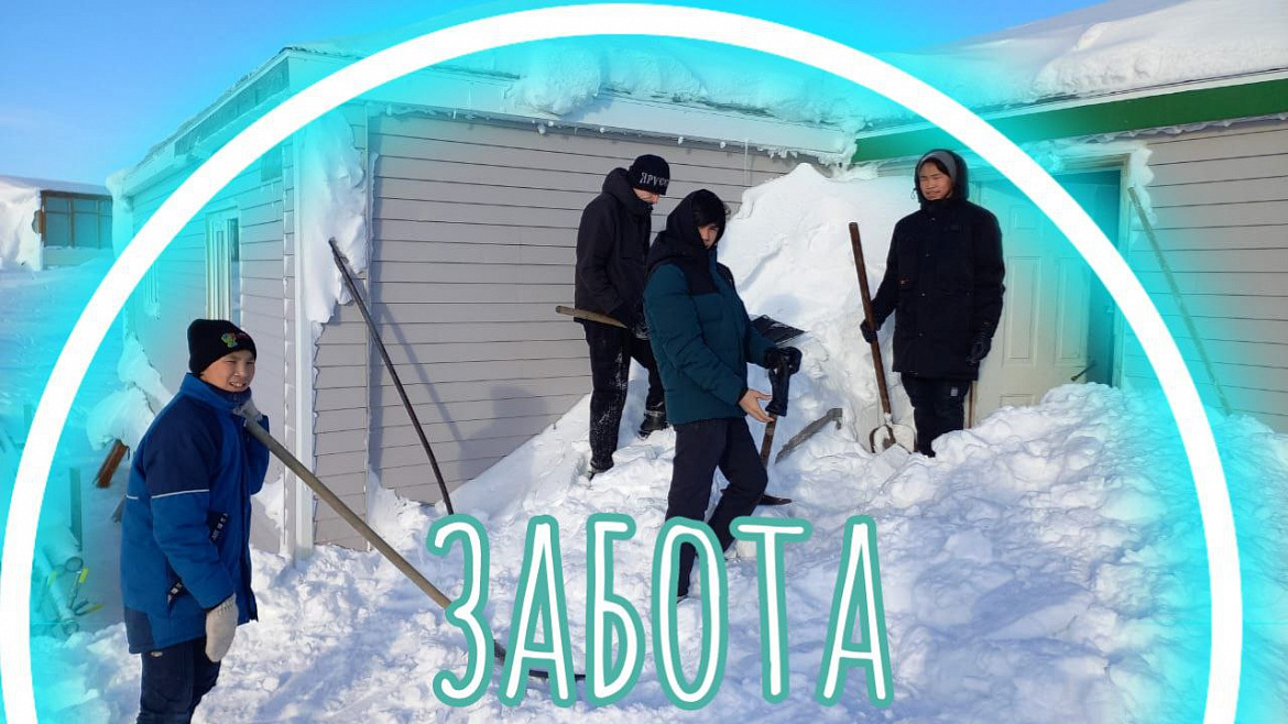 СНЕЖНЫЙ ДЕСАНТ