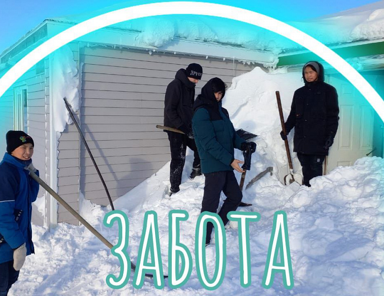 СНЕЖНЫЙ ДЕСАНТ