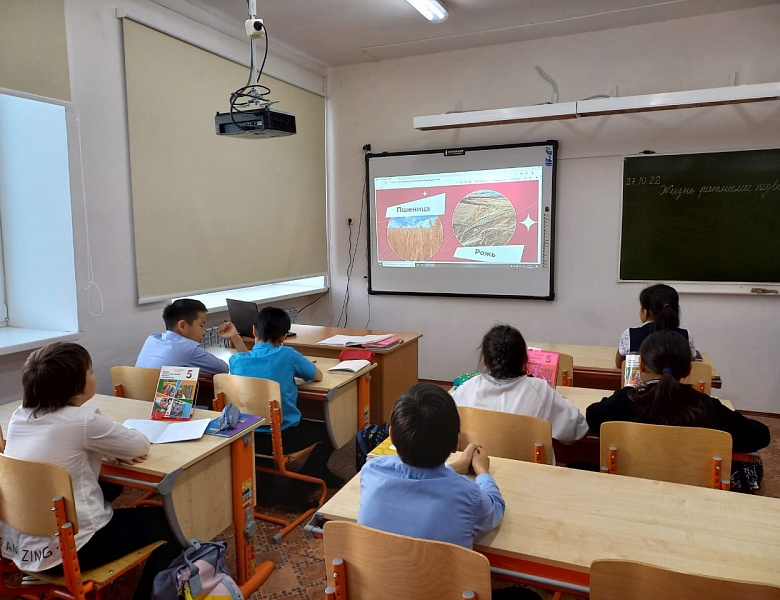 ШОУ ПРОФЕССИЙ