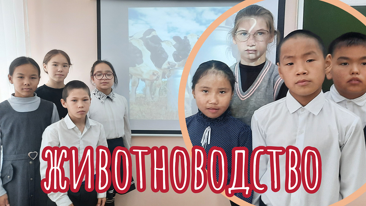 ШОУ ПРОФЕССИЙ. МАСТЕР ЖИВОТНОВОДСТВА