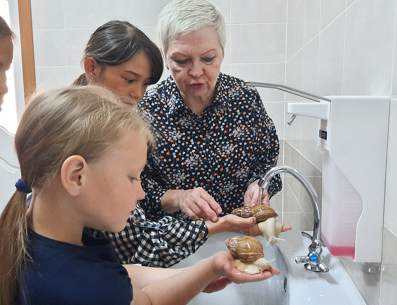ЛЕТО В ЛАГЕРЕ. УЛИТКА