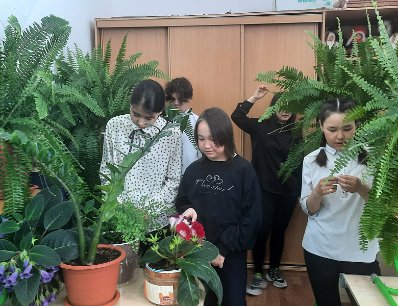 ЗЕЛЕНЫЙ ДЕСАНТ