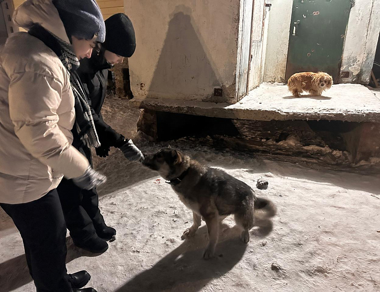 ЧЕЛОВЕК СОБАКЕ ДРУГ