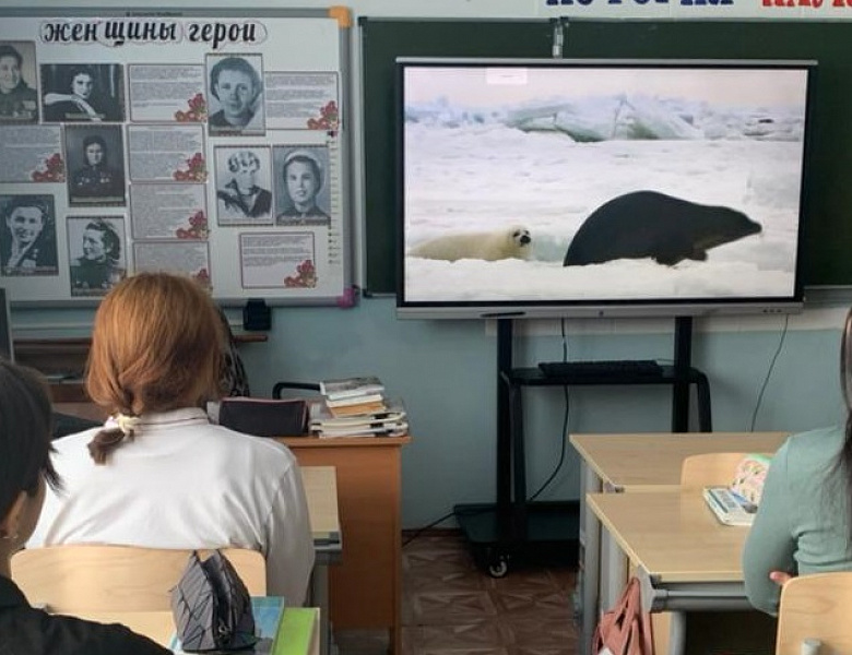 МОЯ АРКТИКА