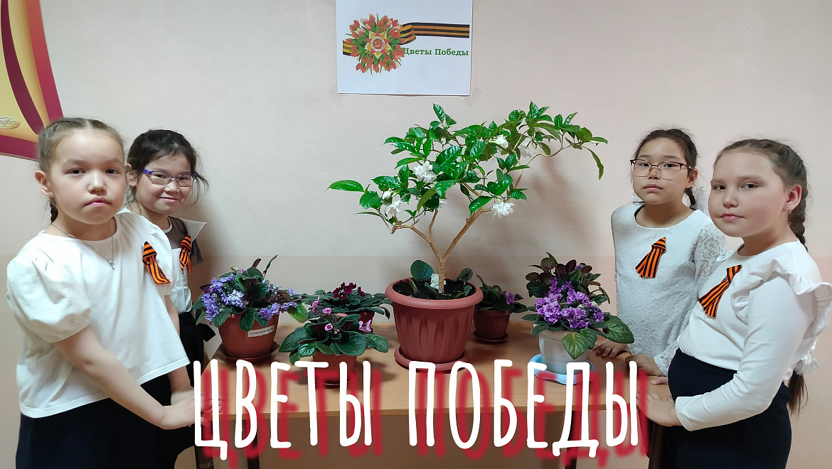 ЦВЕТЫ ПОБЕДЫ - 2025