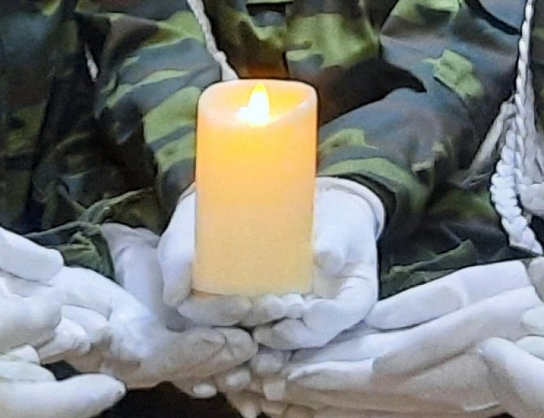 ДЕНЬ БЕЛЫХ ЖУРАВЛЕЙ