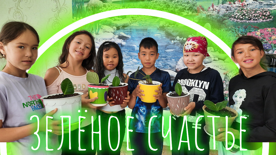 ЦВЕТОК В КАЖДЫЙ ДОМ 2