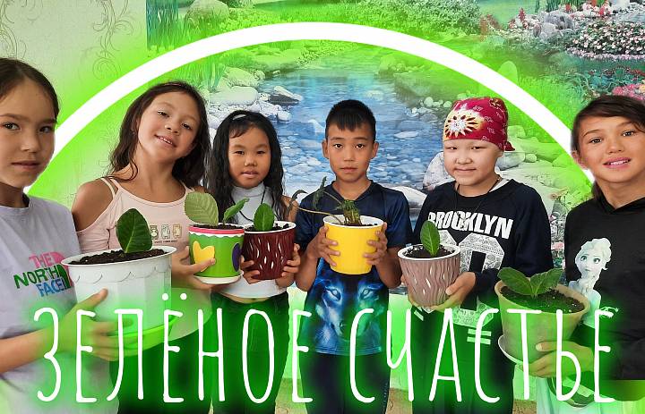 ЦВЕТОК В КАЖДЫЙ ДОМ 2
