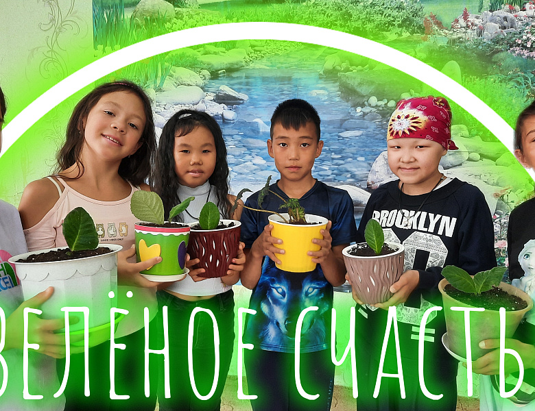 ЦВЕТОК В КАЖДЫЙ ДОМ 2