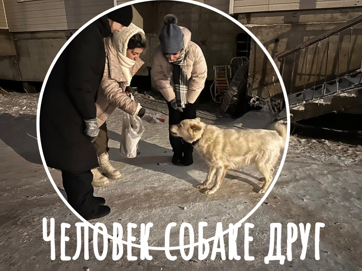 ЧЕЛОВЕК СОБАКЕ ДРУГ