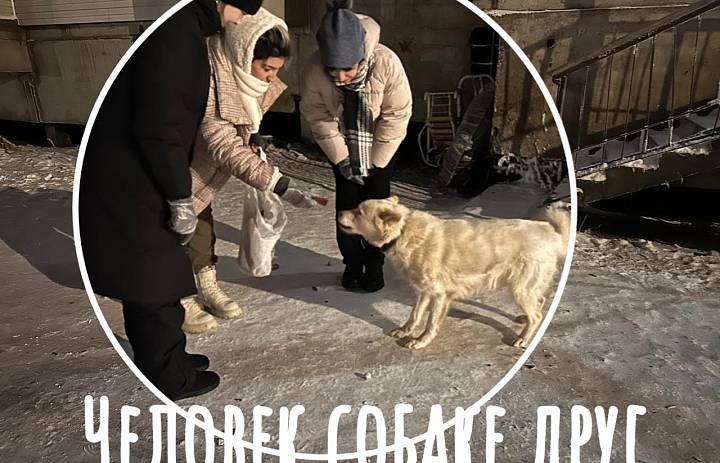 ЧЕЛОВЕК СОБАКЕ ДРУГ