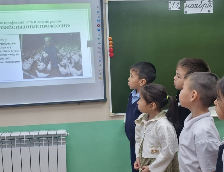ШОУ ПРОФЕССИЙ. 11.11.2024