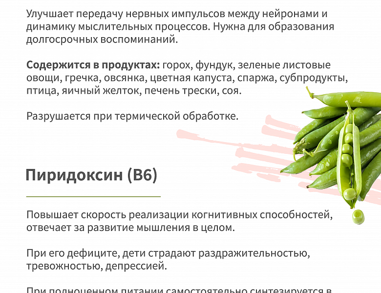 «Правильное питание- важнейший фактор здоровья и долголетия»